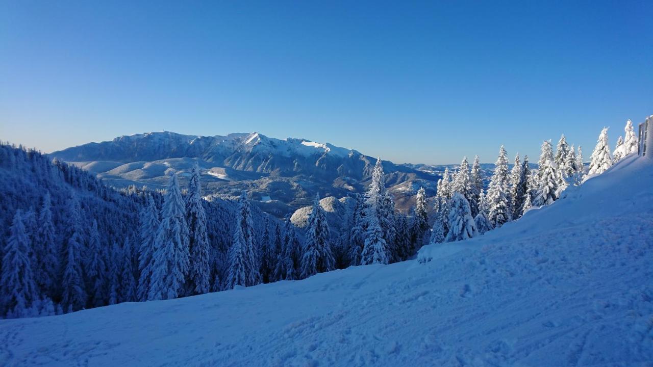 Apartament 2706 Alpin Resort, Etaj 7, Пояна Брашов Екстериор снимка