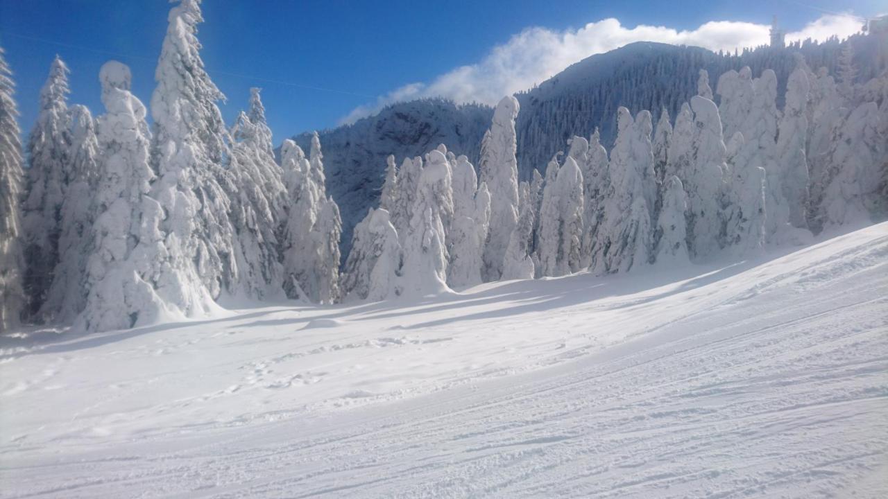 Apartament 2706 Alpin Resort, Etaj 7, Пояна Брашов Екстериор снимка